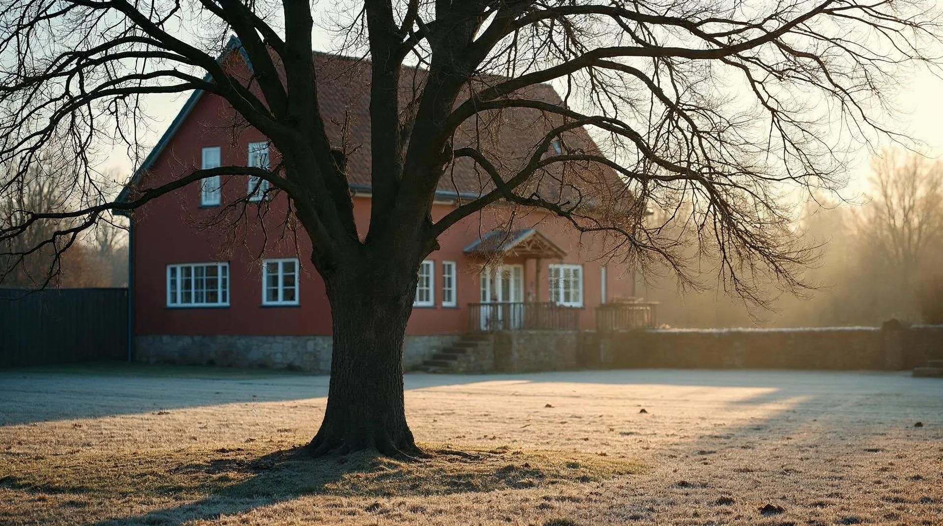 Großer, kahler Laubbaum ohne Blätter auf einer bereiften Wiese vor einem Backsteinhof in der Mecklenburgischen Schweiz an einem klaren Wintermorgen